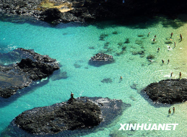 费尔南多—迪诺罗尼亚岛冰球突破豪华版美丽